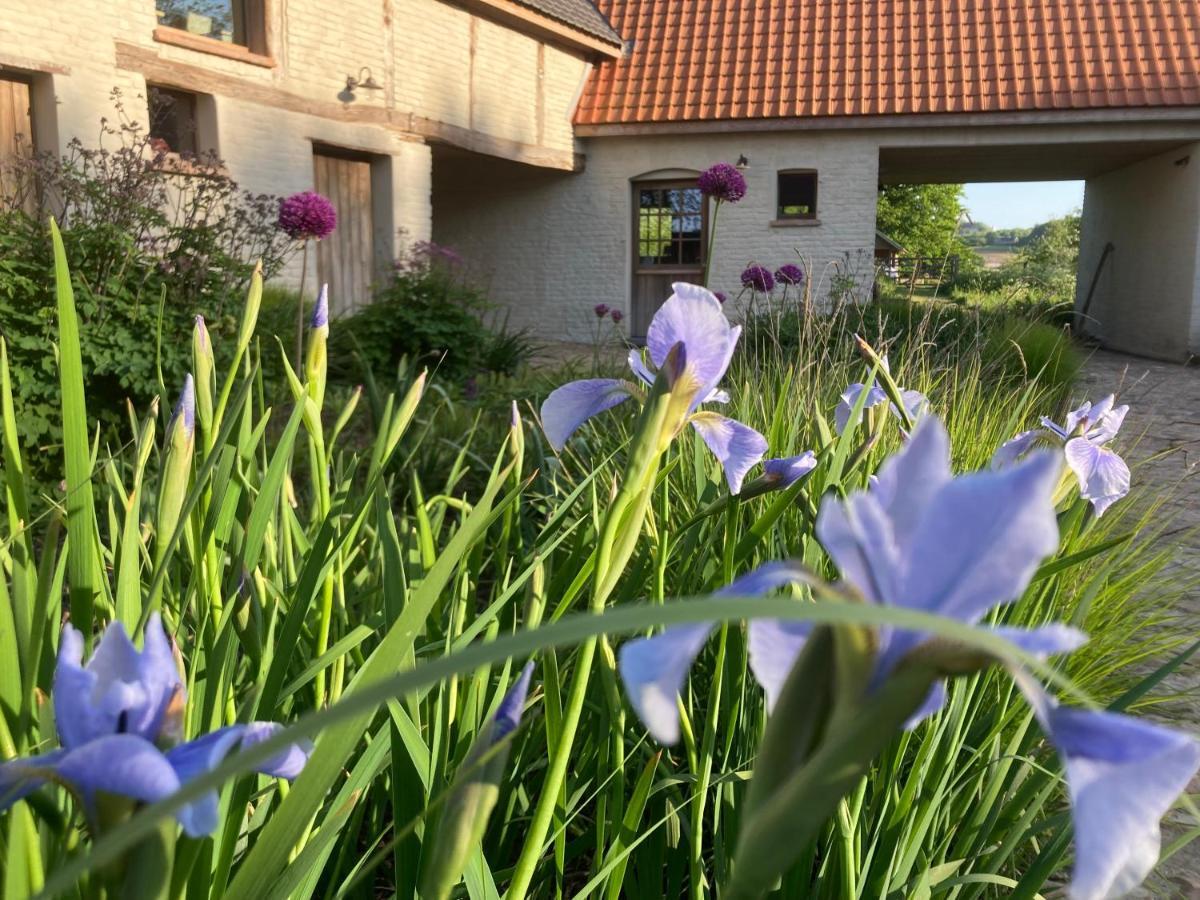 Nachtegael Hoekhuis, Knusse Woning Met Prachtig Vergezicht Kluisbergen Zewnętrze zdjęcie