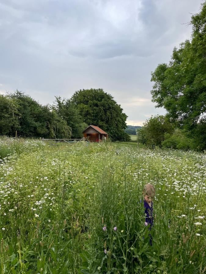 Nachtegael Hoekhuis, Knusse Woning Met Prachtig Vergezicht Kluisbergen Zewnętrze zdjęcie